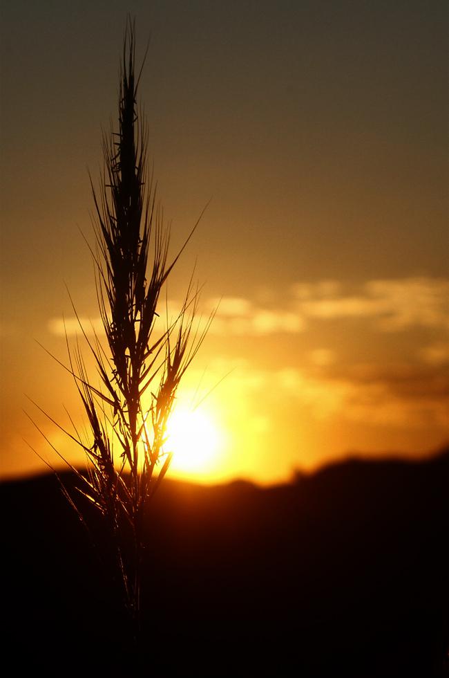 El atardecer es el mayor espectáculo del mundo